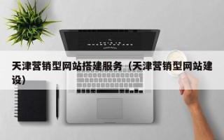 桐乡天津营销型网站搭建服务（天津营销型网站建设）