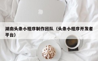 桐乡湖南头条小程序制作团队（头条小程序开发者平台）