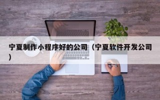 桐乡宁夏制作小程序好的公司（宁夏软件开发公司）